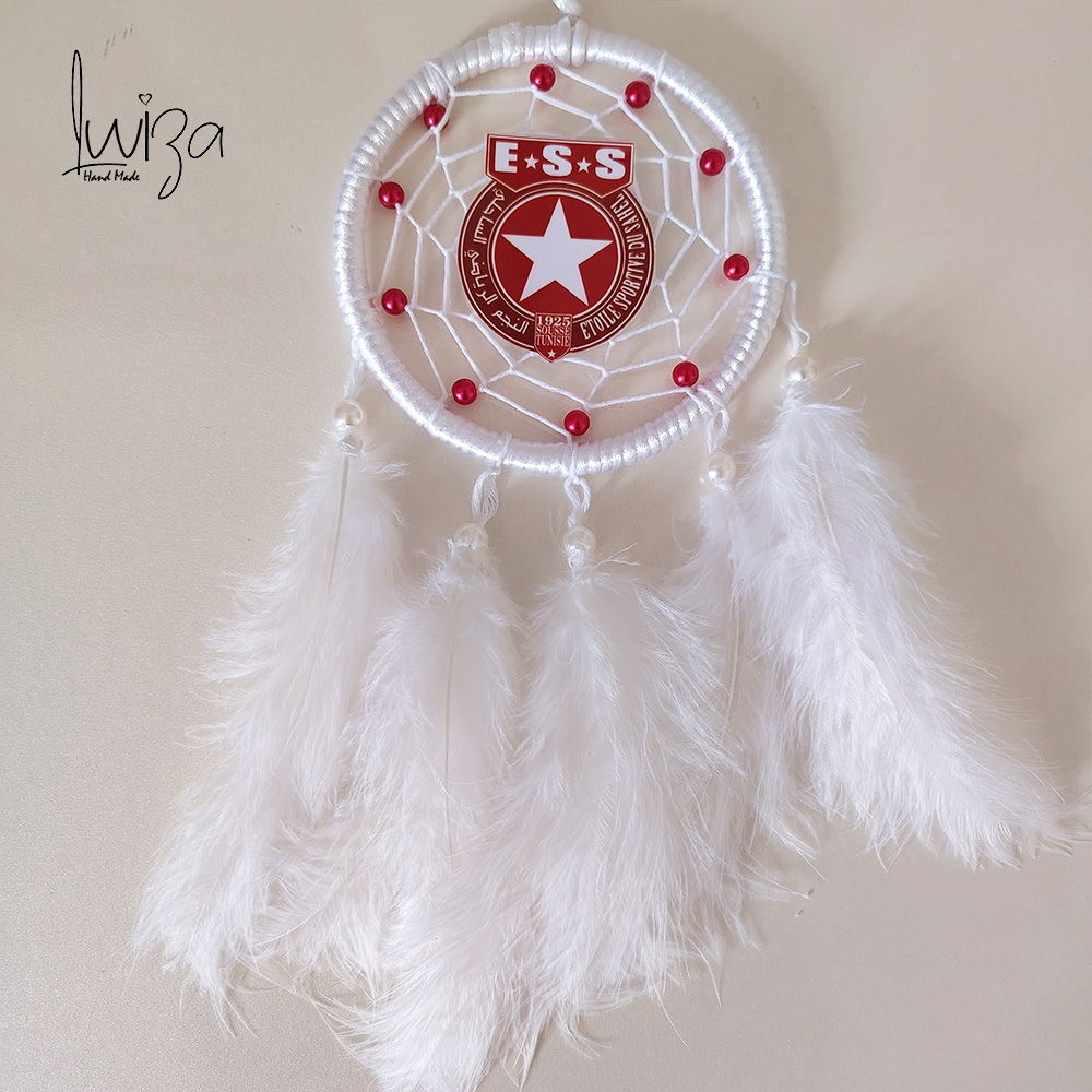 1 Dreamcatcher ESS